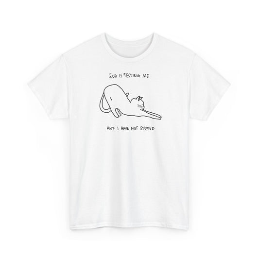 God Is Testing Me and I Have Not Studied Unisex Heavy Cotton Tee