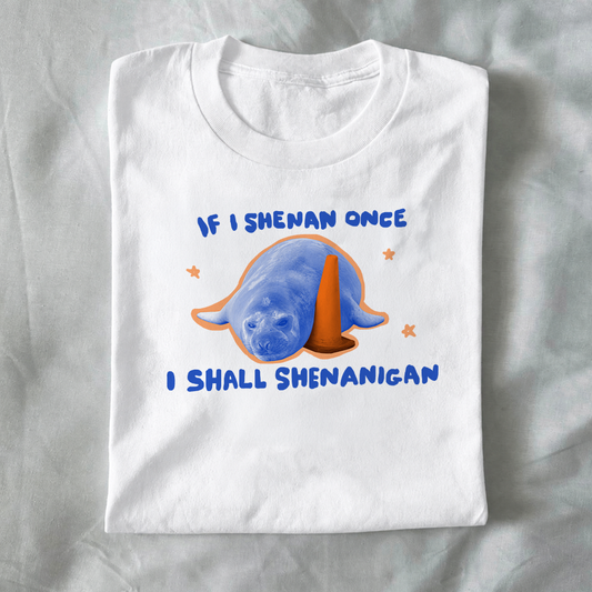 If I shenan once, I shall shenanigan.