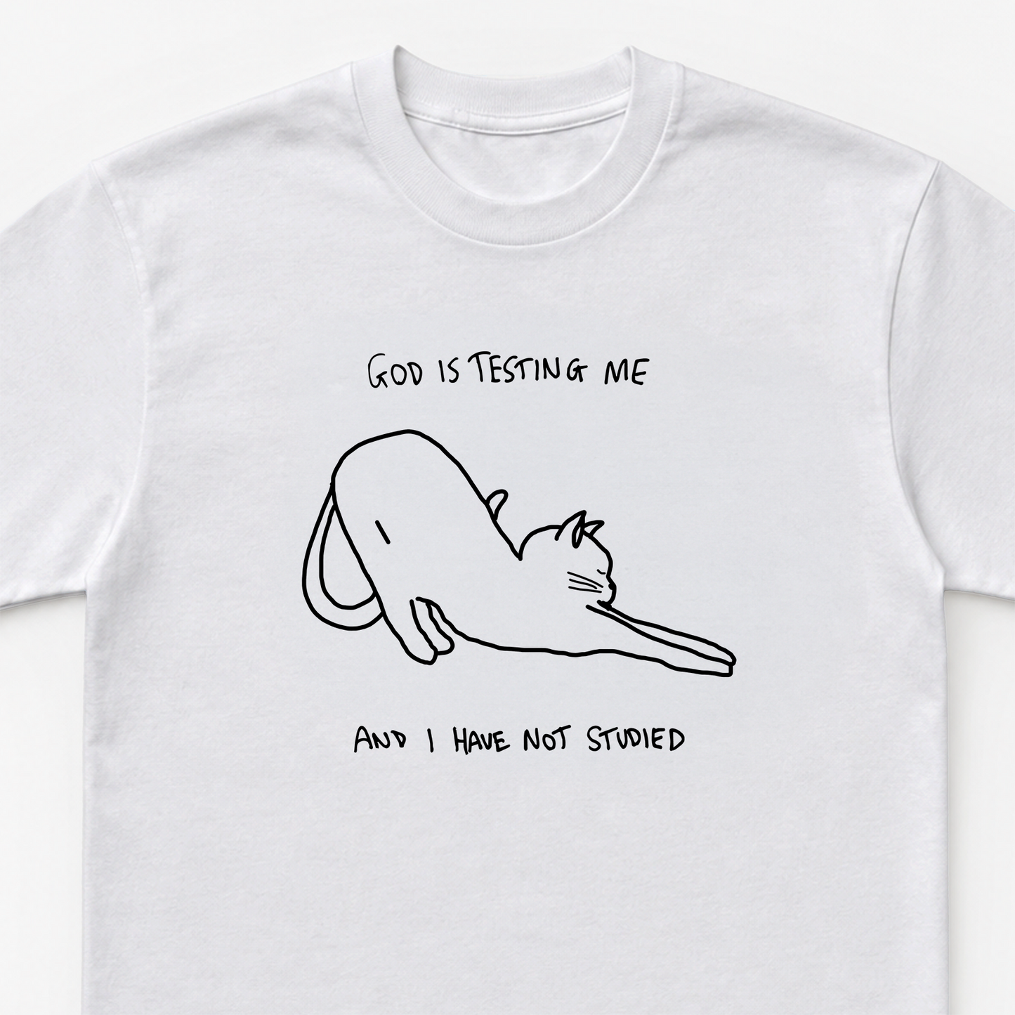 God Is Testing Me and I Have Not Studied Unisex Heavy Cotton Tee