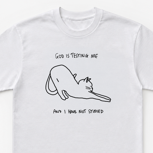 God Is Testing Me and I Have Not Studied Unisex Heavy Cotton Tee