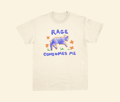 Rage consumes me