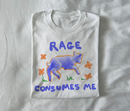 Rage consumes me