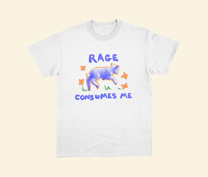 Rage consumes me