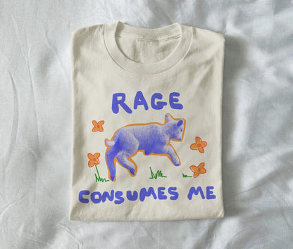 Rage consumes me