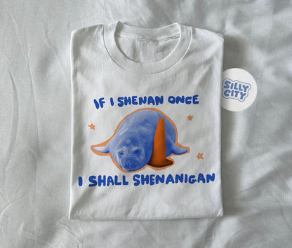 If I shenan once, I shall shenanigan.