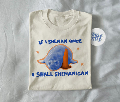 If I shenan once, I shall shenanigan.