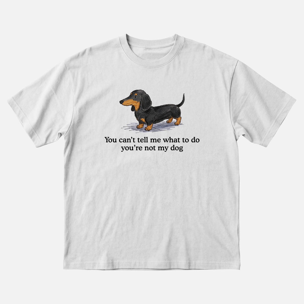 You cant tell em what to do your not my dog