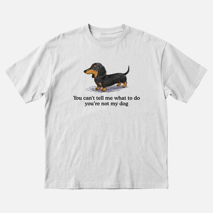 You cant tell em what to do your not my dog