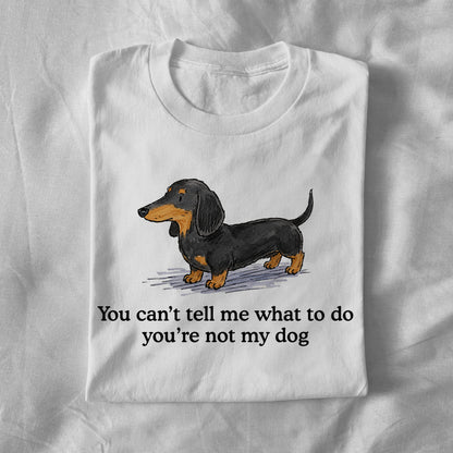 You cant tell em what to do your not my dog
