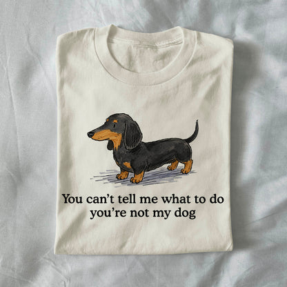 You cant tell em what to do your not my dog
