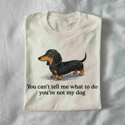 You cant tell em what to do your not my dog