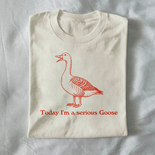 Today I’m a Serious Goose