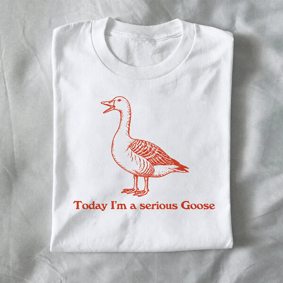 Today I’m a Serious Goose
