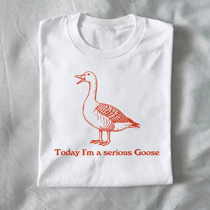 Today I’m a Serious Goose